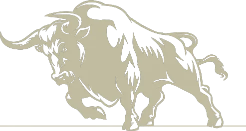 bnr-bull-logo