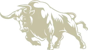 bull-logo